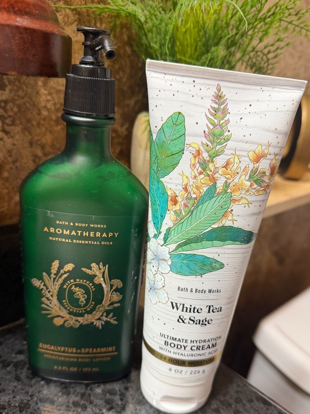 Bath and Bodyworks Aromatherapy Bundle of 2